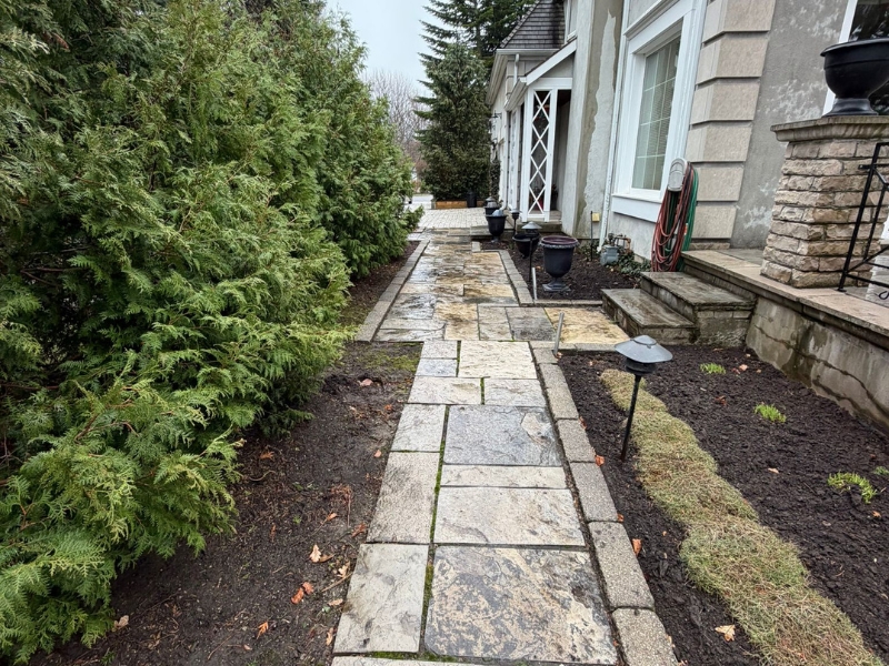 Deck & Patio Cleaning 4