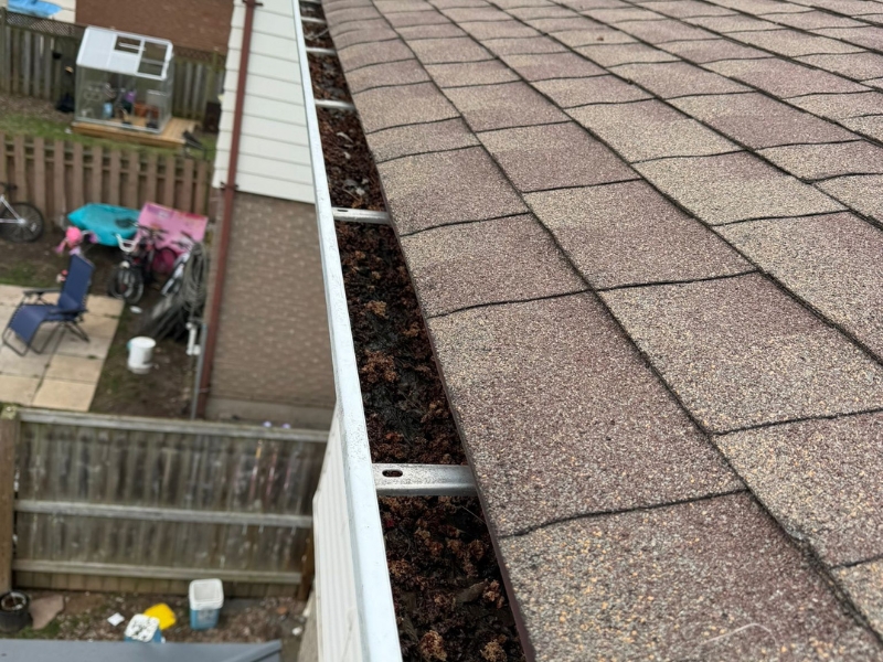 Gutter Cleaning