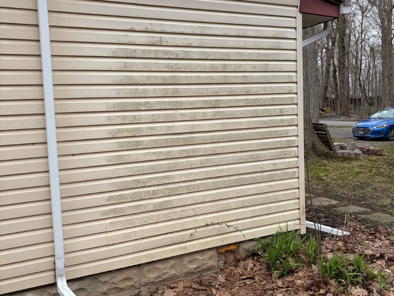 Siding Cleaning 1
