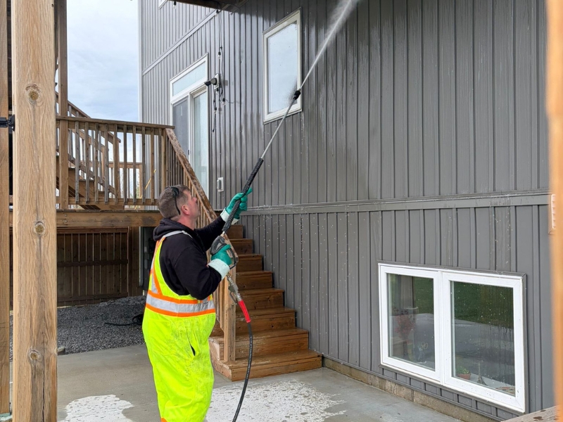 Siding Cleaning 2