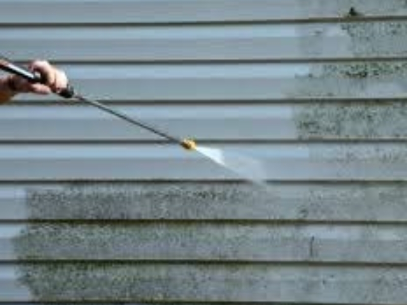 Siding Cleaning 3