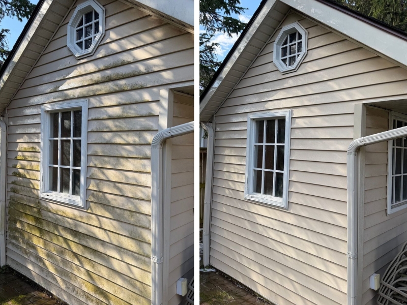 Siding Cleaning